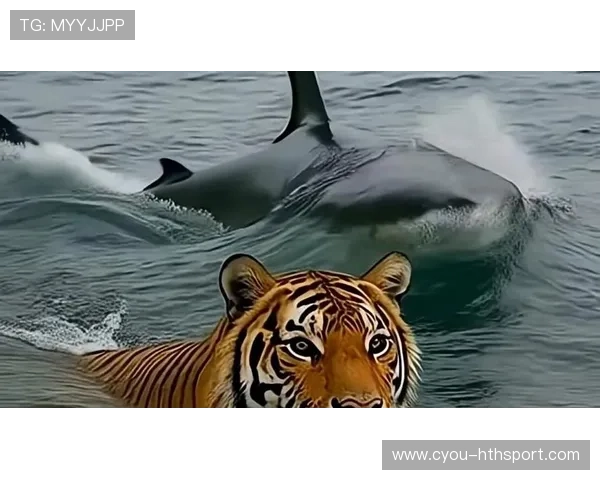 世界游泳挑战赛惊现“水中神兽”，网友看呆